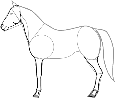 рисование лошади поэтапно, этап 4