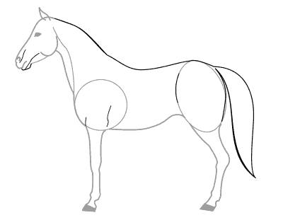 рисование лошади поэтапно, этап 5
