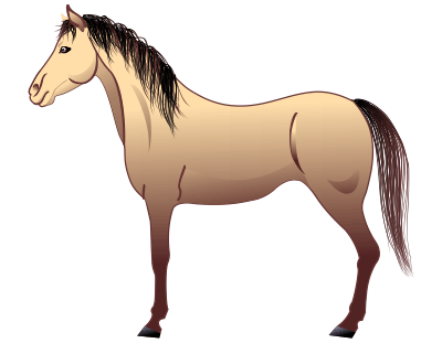 рисование лошади, итог