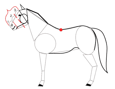 рисование лошади поэтапно, этап 2